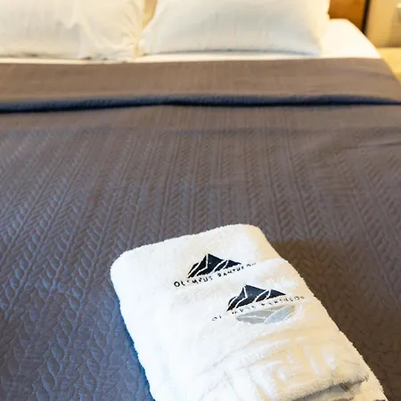 Hotel apartamentowy Olympus Pantheon Luxury