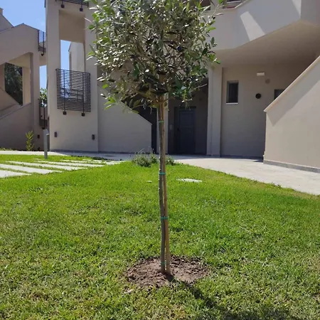 Olympus Pantheon Luxury 4*