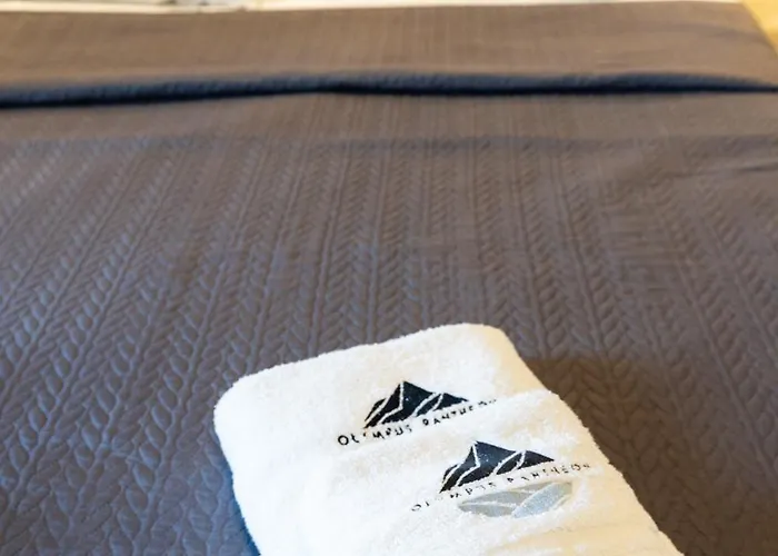 아파트호텔 Olympus Pantheon Luxury