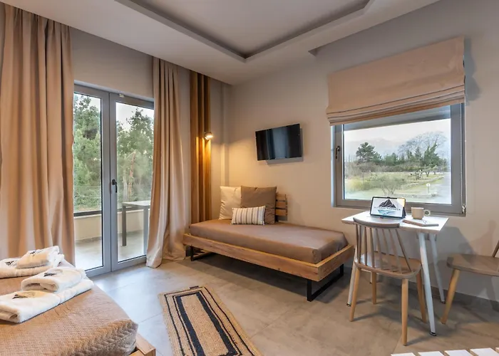 Olympus Pantheon Luxury 플라카 리토코로우