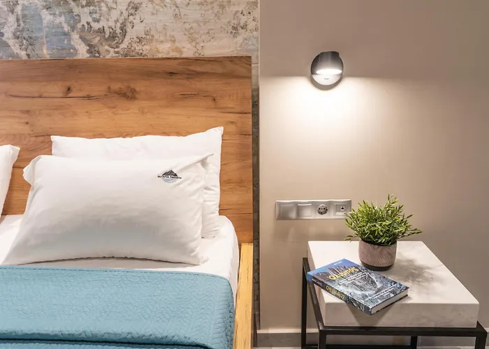 아파트호텔 Olympus Pantheon Luxury 플라카 리토코로우