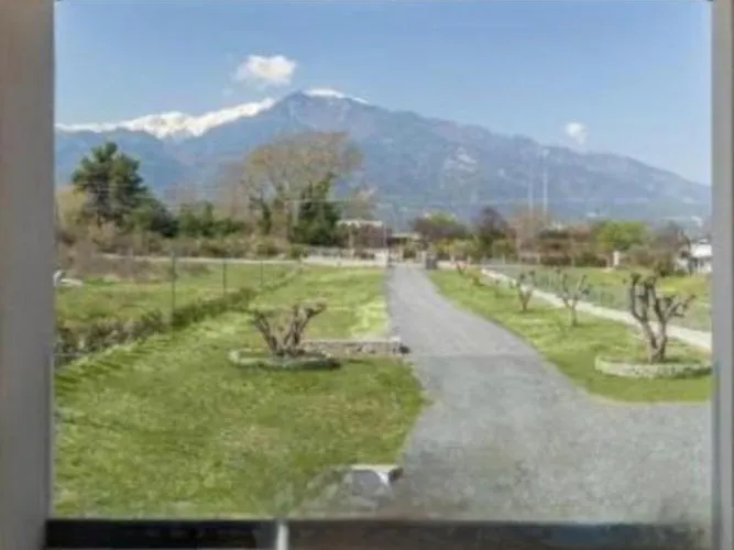 Olympus Pantheon Luxury 플라카 리토코로우