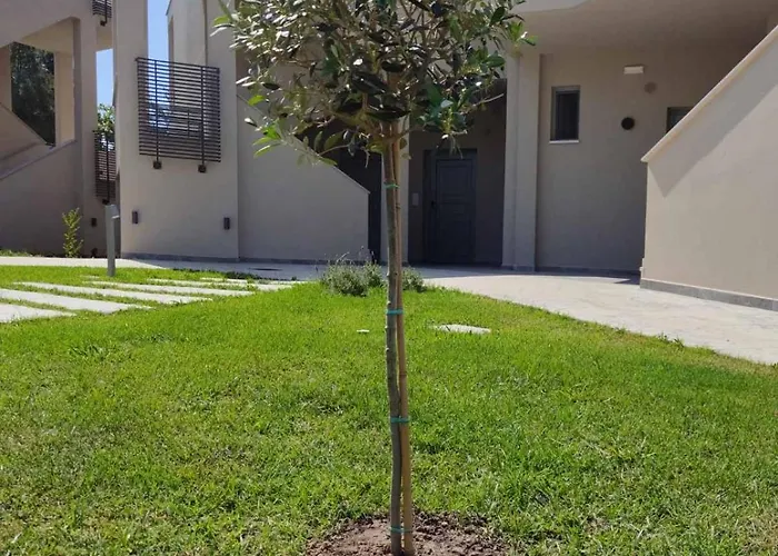 Olympus Pantheon Luxury 4*